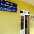 Consiliul local Borlesti