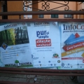 Consiliul Local Foieni