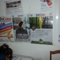 primaria unirea